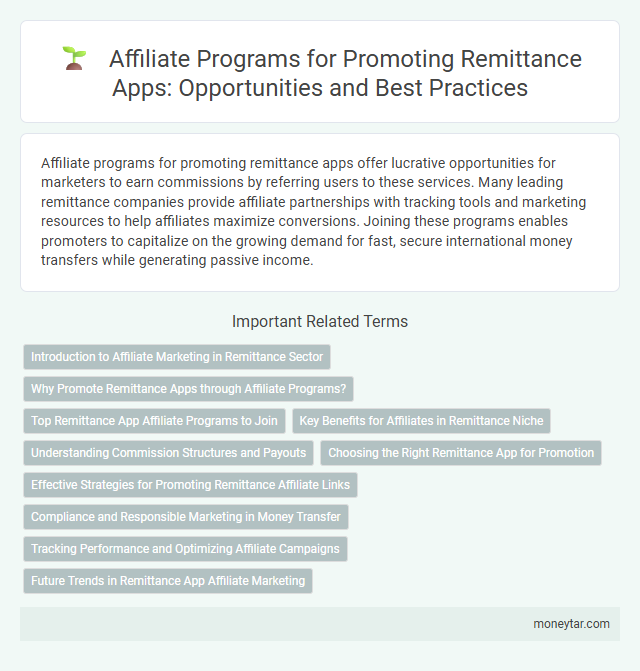 Affiliate Programs for Promoting Remittance Apps: Opportunities and Best Practices