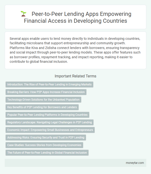 Peer-to-Peer Lending Apps Empowering Financial Access in Developing Countries