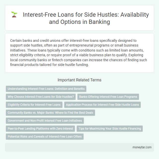 Interest-Free Loans for Side Hustles: Availability and Options in Banking