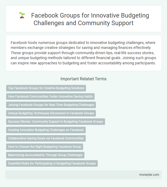 Facebook Groups for Innovative Budgeting Challenges and Community Support
