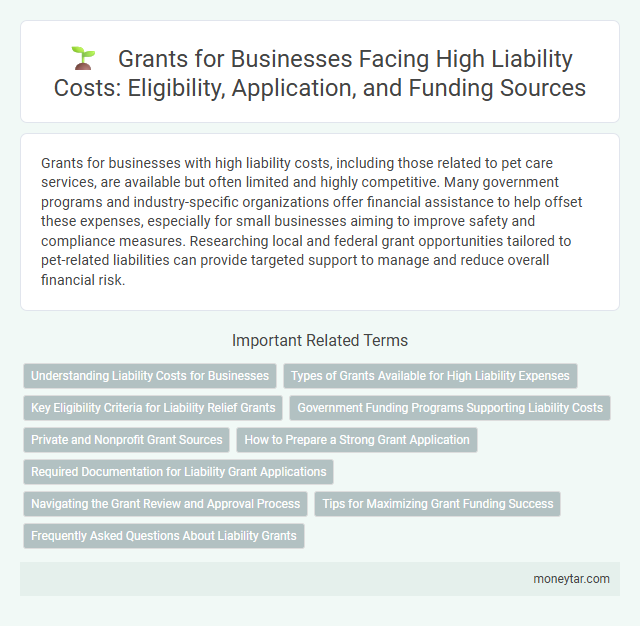 Grants for Businesses Facing High Liability Costs: Eligibility, Application, and Funding Sources