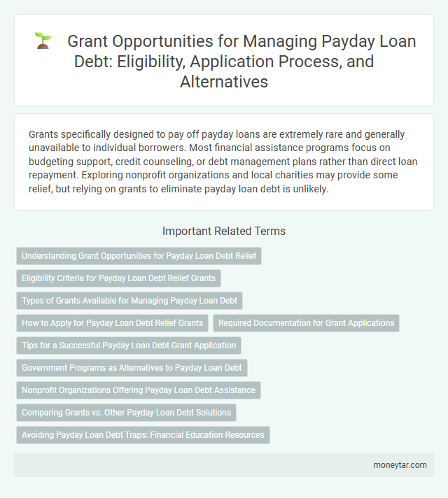 Grant Opportunities for Managing Payday Loan Debt: Eligibility, Application Process, and Alternatives