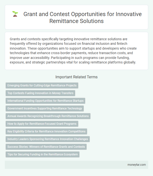 Grant and Contest Opportunities for Innovative Remittance Solutions