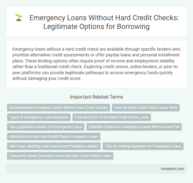 Emergency Loans Without Hard Credit Checks: Legitimate Options for Borrowing