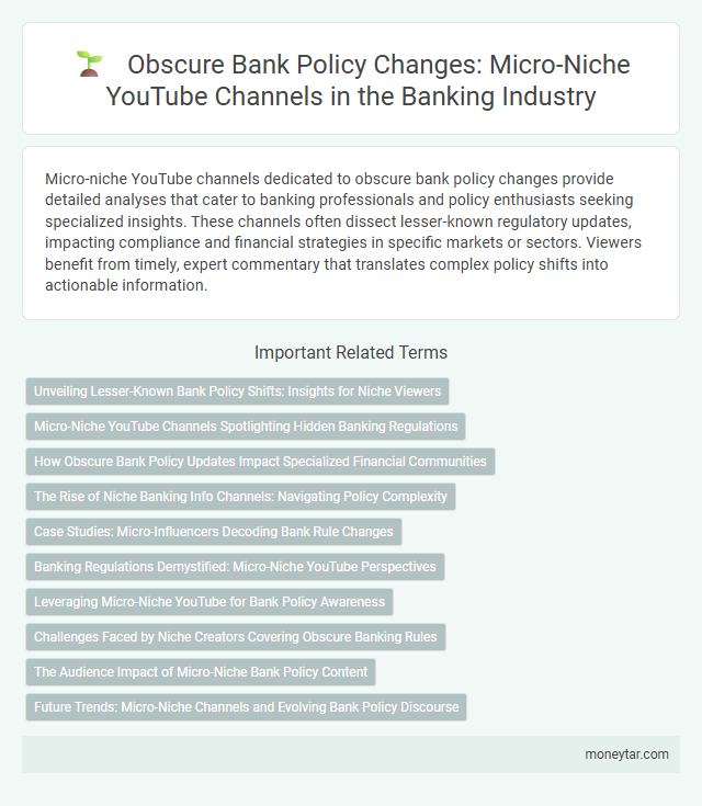 Obscure Bank Policy Changes: Micro-Niche YouTube Channels in the Banking Industry