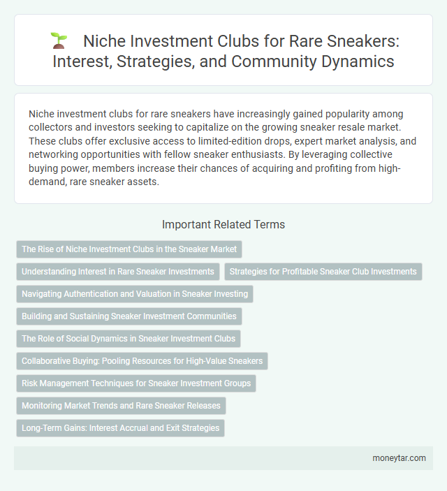 Niche Investment Clubs for Rare Sneakers: Interest, Strategies, and Community Dynamics