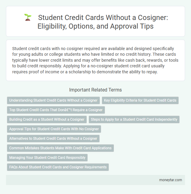 Student Credit Cards Without a Cosigner: Eligibility, Options, and Approval Tips