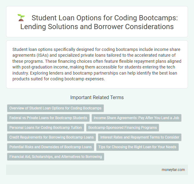 Student Loan Options for Coding Bootcamps: Lending Solutions and Borrower Considerations