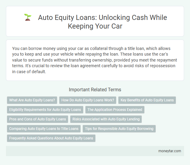 Auto Equity Loans: Unlocking Cash While Keeping Your Car