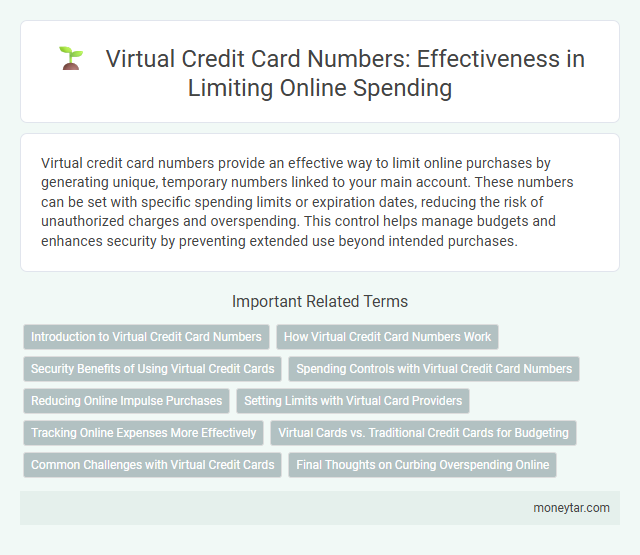 Virtual Credit Card Numbers: Effectiveness in Limiting Online Spending