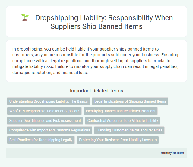 Dropshipping Liability: Responsibility When Suppliers Ship Banned Items