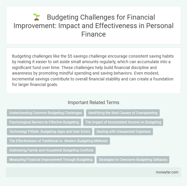 Budgeting Challenges for Financial Improvement: Impact and Effectiveness in Personal Finance
