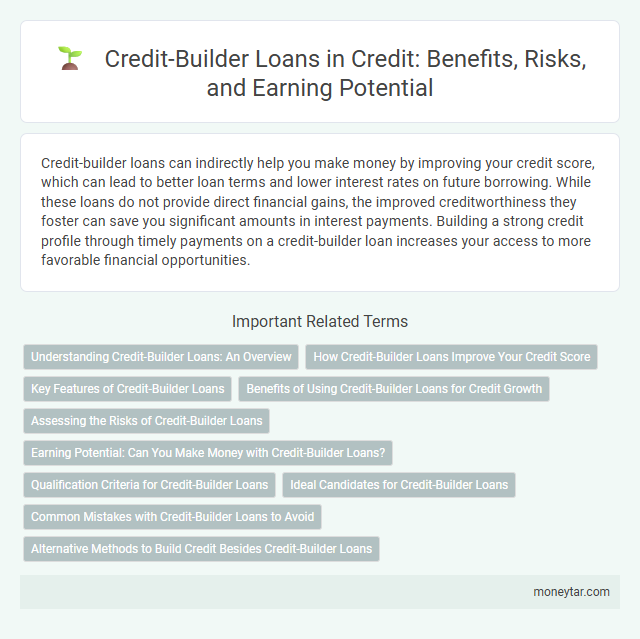 Credit-Builder Loans in Credit: Benefits, Risks, and Earning Potential