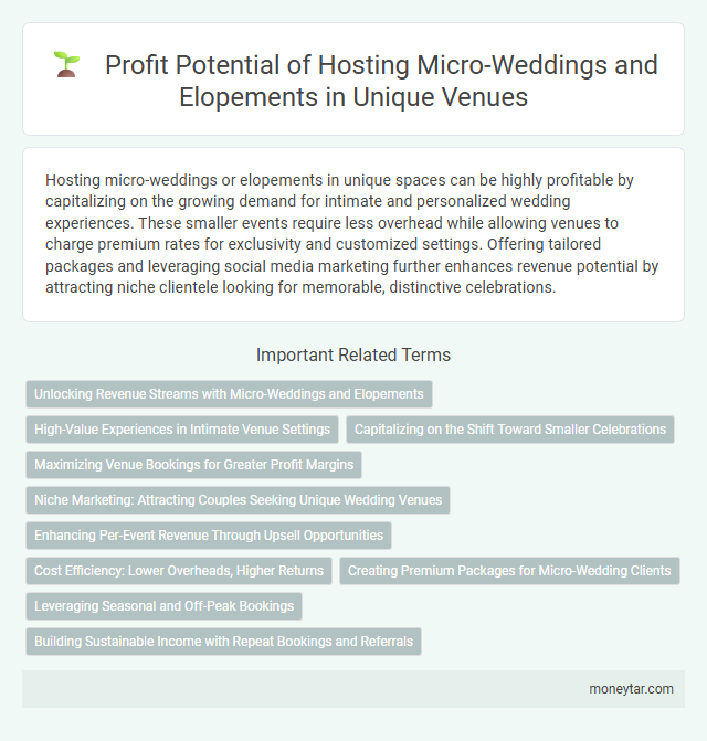 Profit Potential of Hosting Micro-Weddings and Elopements in Unique Venues