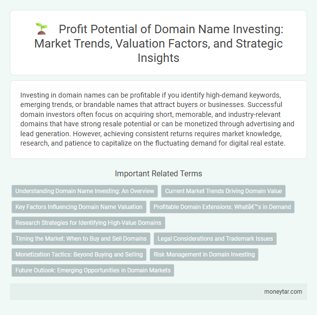 Profit Potential of Domain Name Investing: Market Trends, Valuation Factors, and Strategic Insights