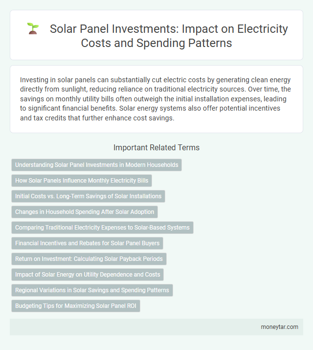Solar Panel Investments: Impact on Electricity Costs and Spending Patterns