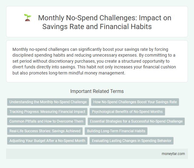 Monthly No-Spend Challenges: Impact on Savings Rate and Financial Habits