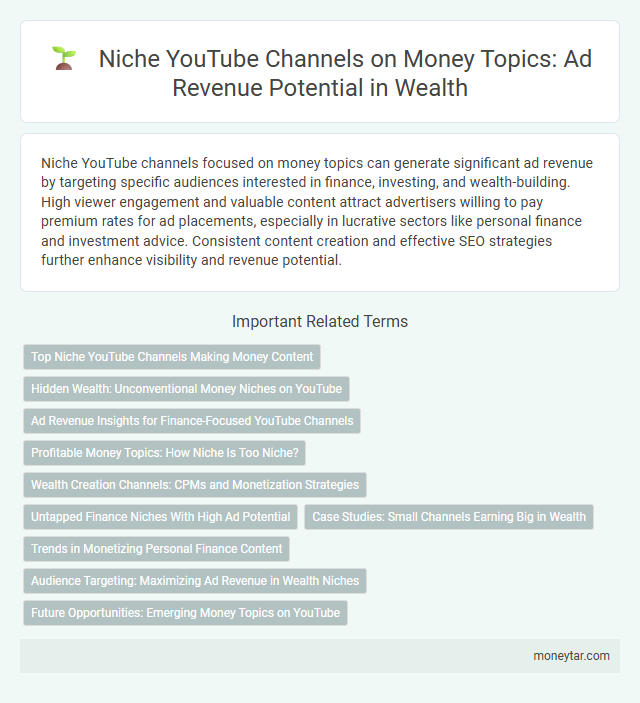 Niche YouTube Channels on Money Topics: Ad Revenue Potential in Wealth