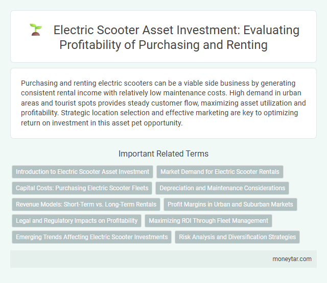 Electric Scooter Asset Investment: Evaluating Profitability of Purchasing and Renting