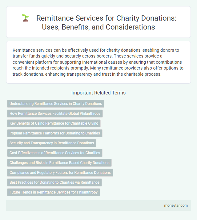 Remittance Services for Charity Donations: Uses, Benefits, and Considerations