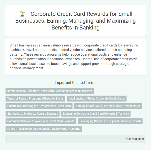 Corporate Credit Card Rewards for Small Businesses: Earning, Managing, and Maximizing Benefits in Banking