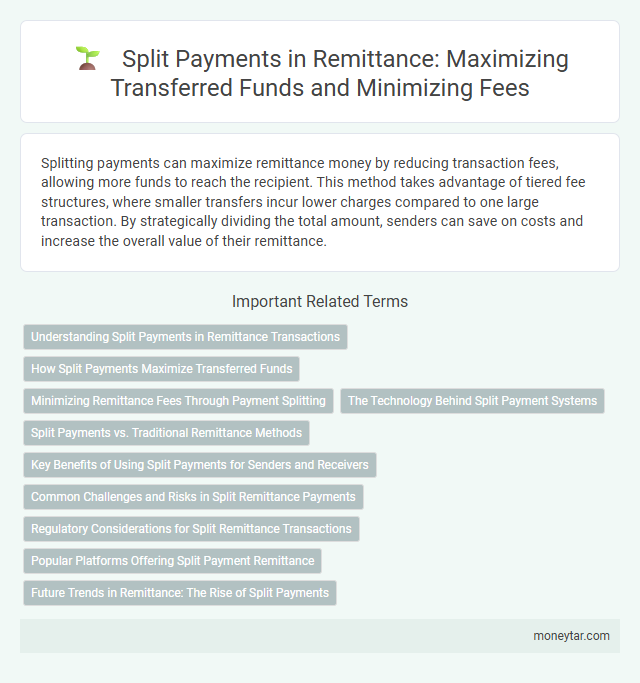 Split Payments in Remittance: Maximizing Transferred Funds and Minimizing Fees