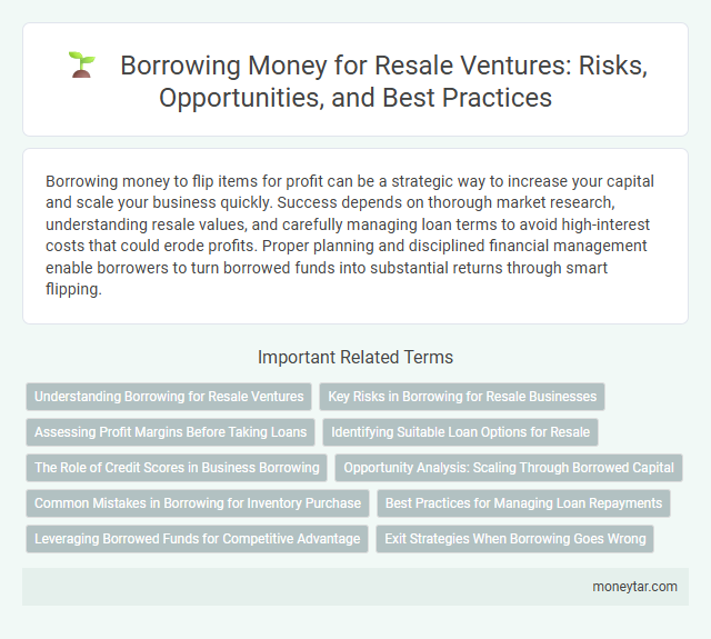 Borrowing Money for Resale Ventures: Risks, Opportunities, and Best Practices