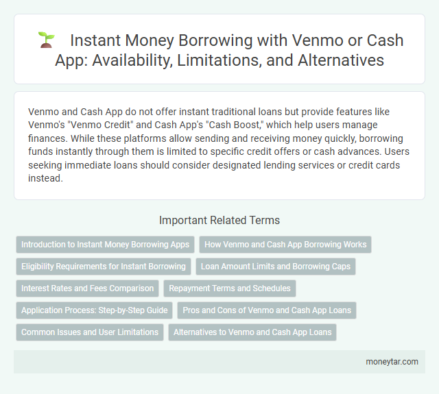 Instant Money Borrowing with Venmo or Cash App: Availability, Limitations, and Alternatives