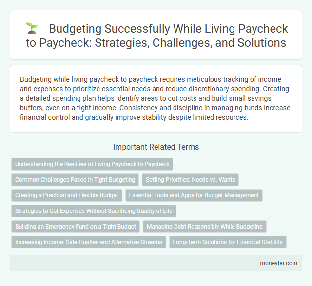 Budgeting Successfully While Living Paycheck to Paycheck: Strategies, Challenges, and Solutions