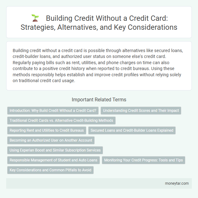 Building Credit Without a Credit Card: Strategies, Alternatives, and Key Considerations