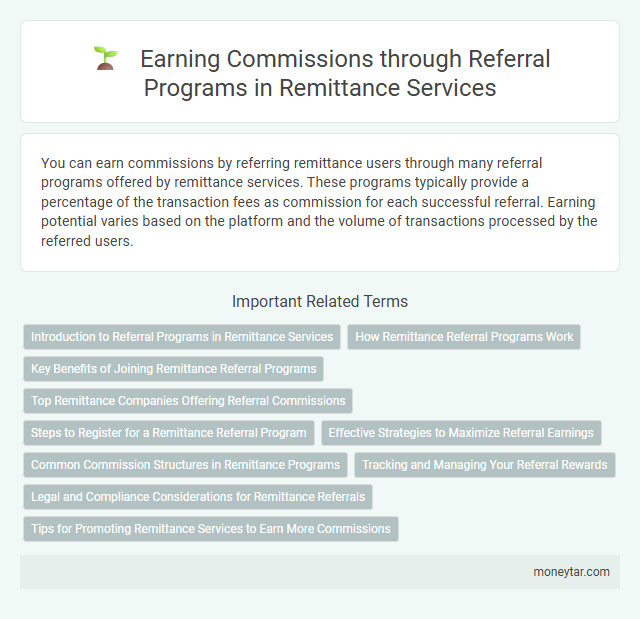 Earning Commissions through Referral Programs in Remittance Services