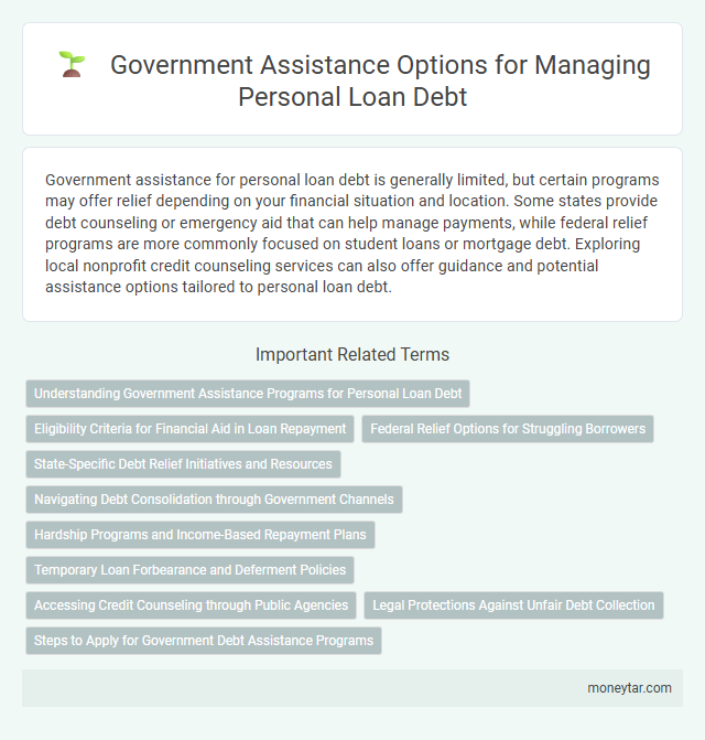 Government Assistance Options for Managing Personal Loan Debt