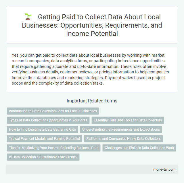 Getting Paid to Collect Data About Local Businesses: Opportunities, Requirements, and Income Potential