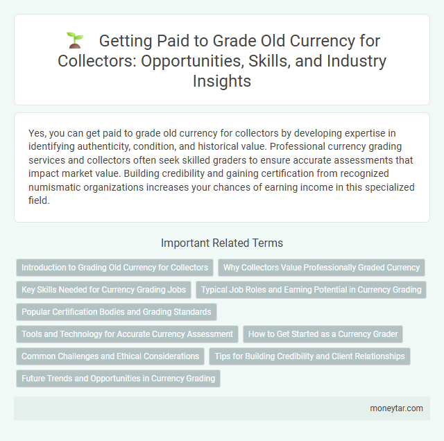 Getting Paid to Grade Old Currency for Collectors: Opportunities, Skills, and Industry Insights