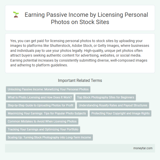 Earning Passive Income by Licensing Personal Photos on Stock Sites