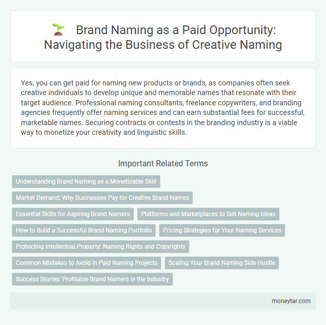 Brand Naming as a Paid Opportunity: Navigating the Business of Creative Naming