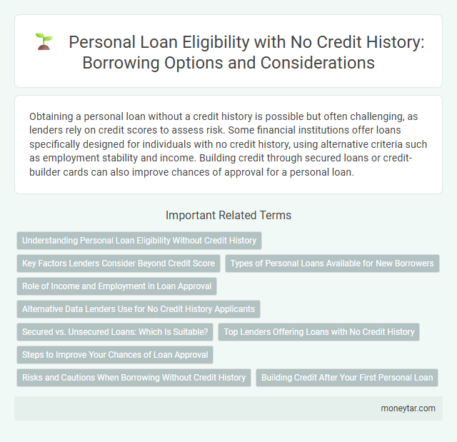 Personal Loan Eligibility with No Credit History: Borrowing Options and Considerations
