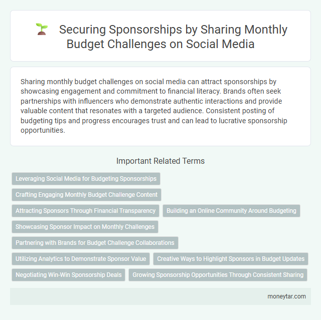 Securing Sponsorships by Sharing Monthly Budget Challenges on Social Media