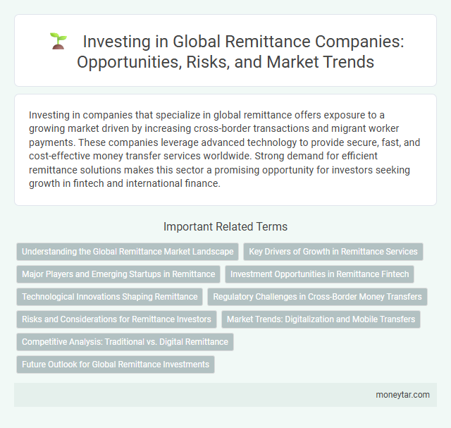 Investing in Global Remittance Companies: Opportunities, Risks, and Market Trends