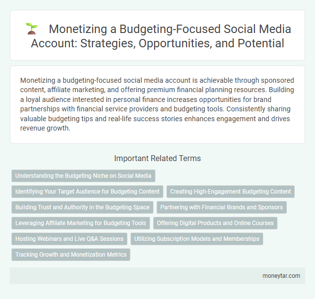 Monetizing a Budgeting-Focused Social Media Account: Strategies, Opportunities, and Potential