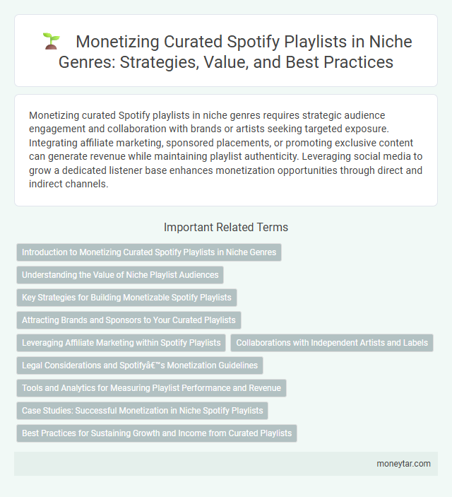 Monetizing Curated Spotify Playlists in Niche Genres: Strategies, Value, and Best Practices