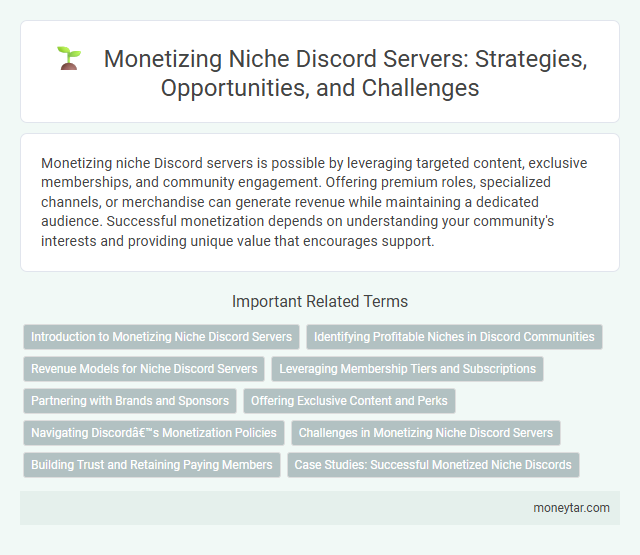 Monetizing Niche Discord Servers: Strategies, Opportunities, and Challenges