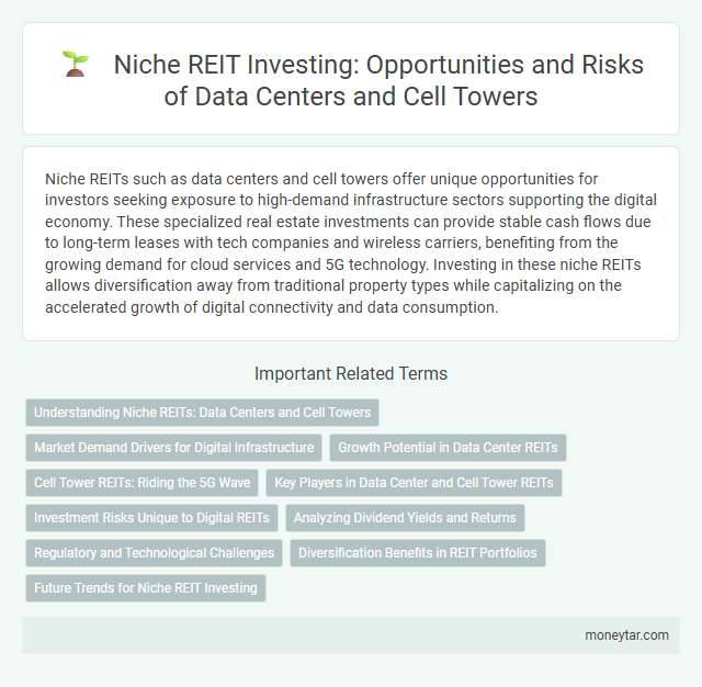 Niche REIT Investing: Opportunities and Risks of Data Centers and Cell Towers