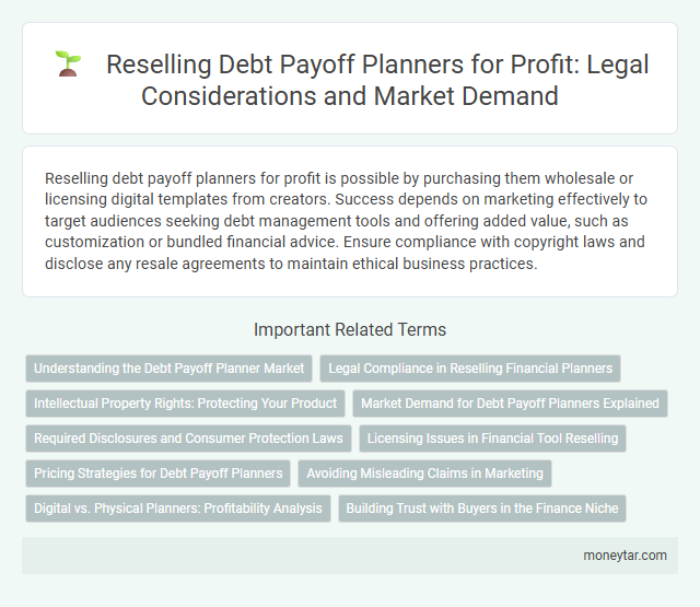 Reselling Debt Payoff Planners for Profit: Legal Considerations and Market Demand