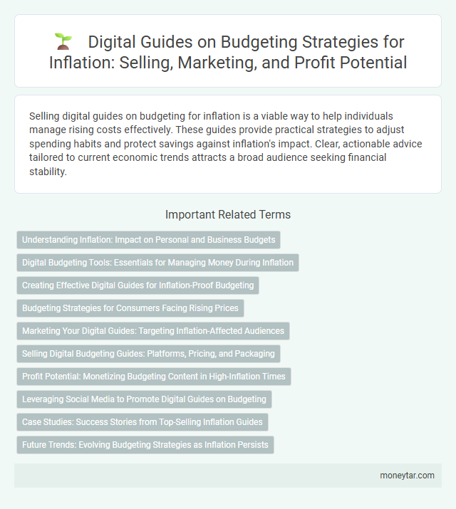Digital Guides on Budgeting Strategies for Inflation: Selling, Marketing, and Profit Potential