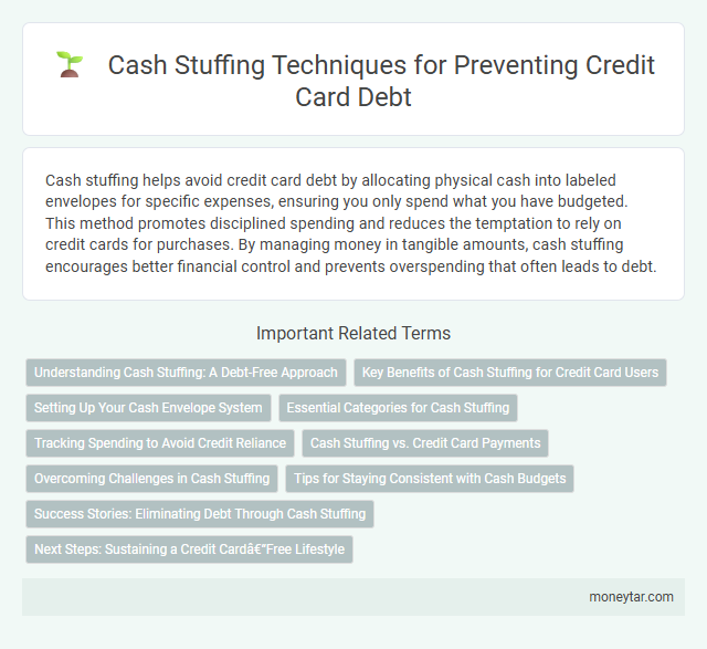Cash Stuffing Techniques for Preventing Credit Card Debt