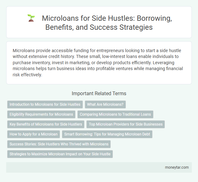 Microloans for Side Hustles: Borrowing, Benefits, and Success Strategies