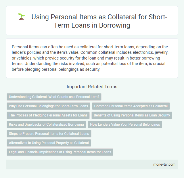 Using Personal Items as Collateral for Short-Term Loans in Borrowing