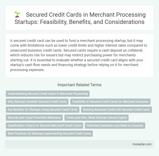 Secured Credit Cards in Merchant Processing Startups: Feasibility, Benefits, and Considerations