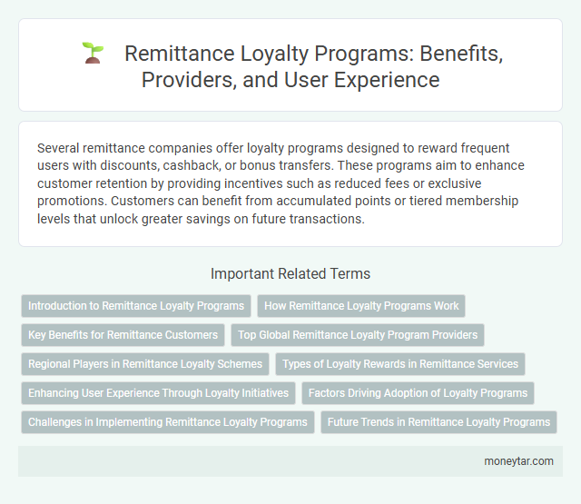 Remittance Loyalty Programs: Benefits, Providers, and User Experience